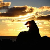 Độc lạ hòn đá hình Godzilla tại tỉnh Akita